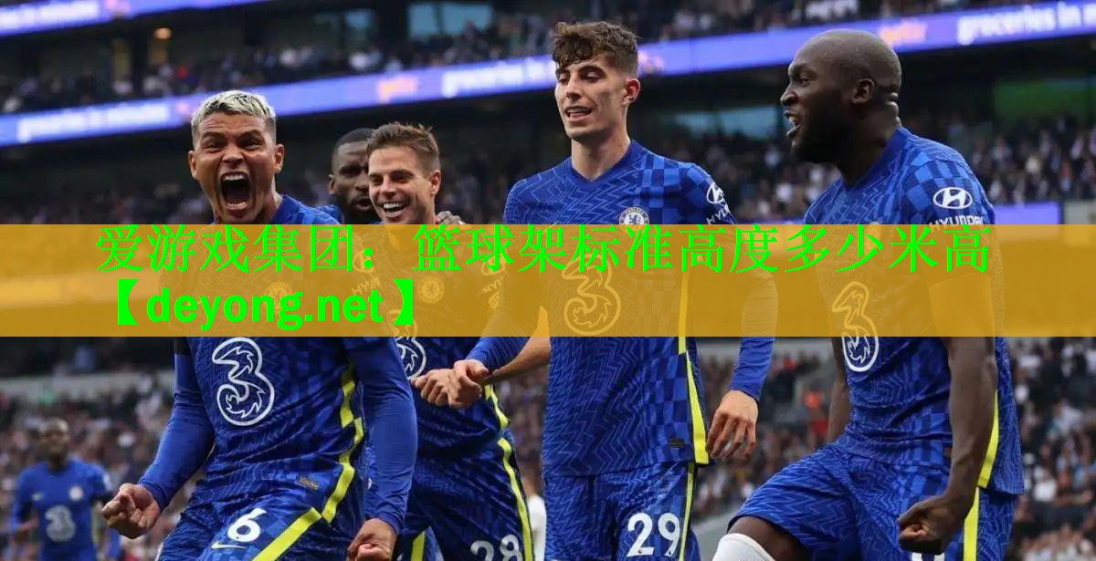篮球架标准高度多少米高