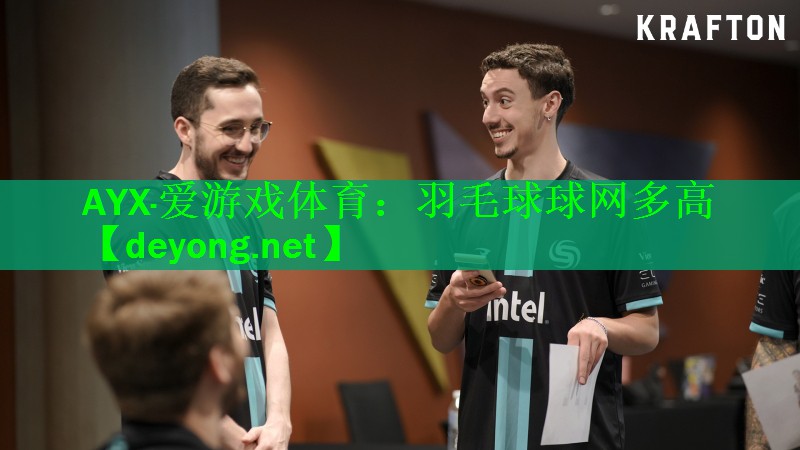 羽毛球球网多高
